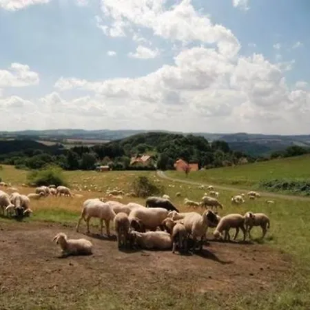 Mara Fuer 5 Personen Mit Sauna Und Kaminofen Am Waldrand Vom Prázdninový dům *